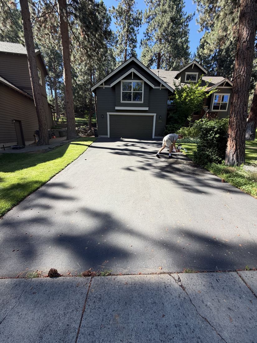 Before: tree-shaded driveway, grey and covered in pine debris